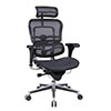 Ergohuman Mesh Back Chair